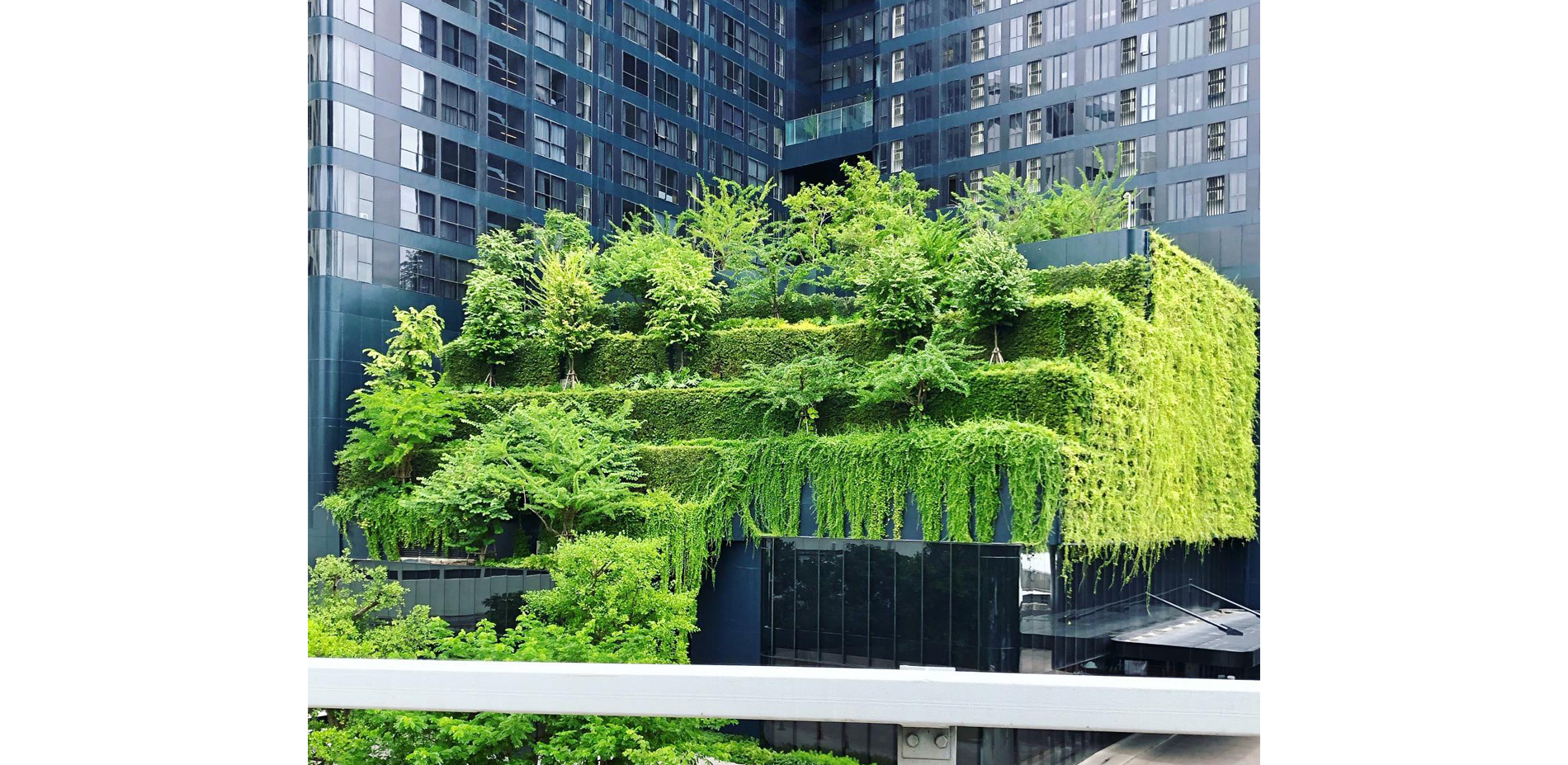 Urban Mountain: Gardens of Ashton Chula-Silom | TROP : terrains + open space-27