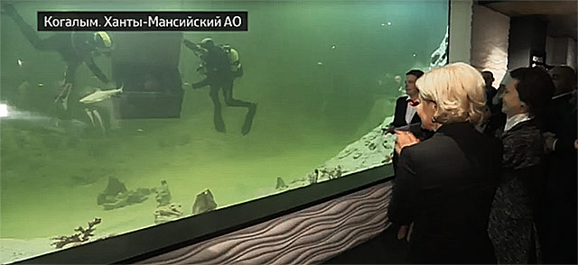 体育文化综合体“Галактика”之“Акватика”海洋馆丨俄罗斯丨Аква Лого Инжиниринг公司-12