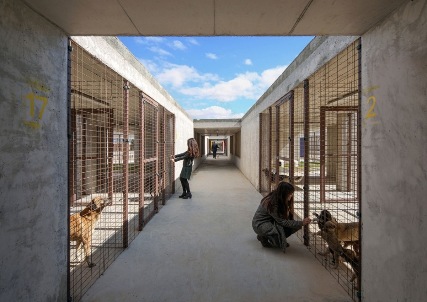 PAKO 街动物社交园区丨土耳其伊兹密尔丨Mert Uslu Architecture-40