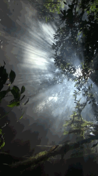 重庆阳光城·未来悦 | 现代景观设计的魅力-4