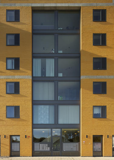 法罗斯（埃及亚历山大港外的一个岛名，岛上曾建有著名的灯塔）丨Liesbeth van der Pol及其团队-11