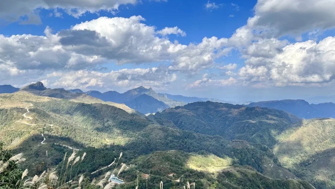 野奢秘境，探寻春日浪漫-169