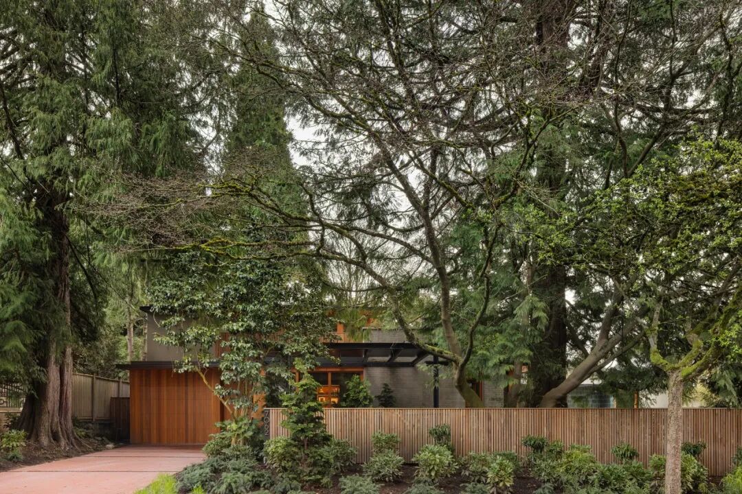 卡萨拉斯玛格丽塔斯公寓(Casa常见指房子、公寓等,由于缺乏更多背景信息,一般以公寓来常见处理,但根据具体场景这里也可能表示其他场所;Las Margaritas音译过来是拉斯玛格丽塔斯 ,它可能是具体的人名、地名等,可根据实际情况进一步确认指代对象及更合适的译法,如果是酒店、度假村等也可纠正信息重新让我翻译 )丨哥伦比亚丨Trópico Arquitectura-90