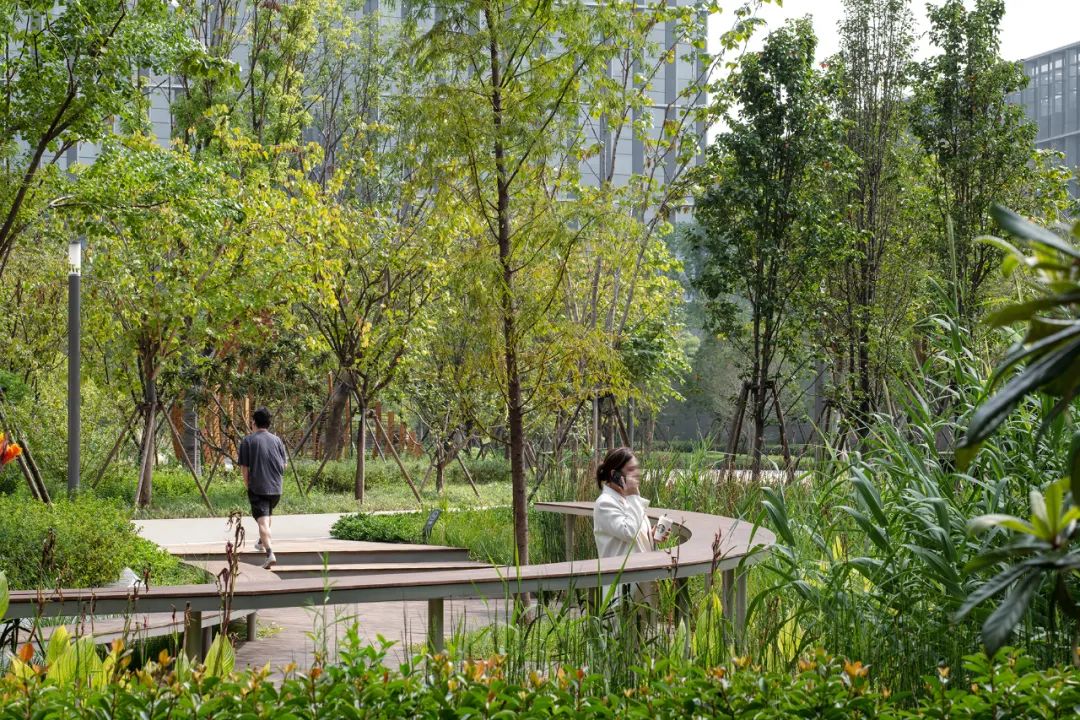 阿里巴巴西溪全球总部园区（C区）丨中国杭州丨ASPECT Studios-10