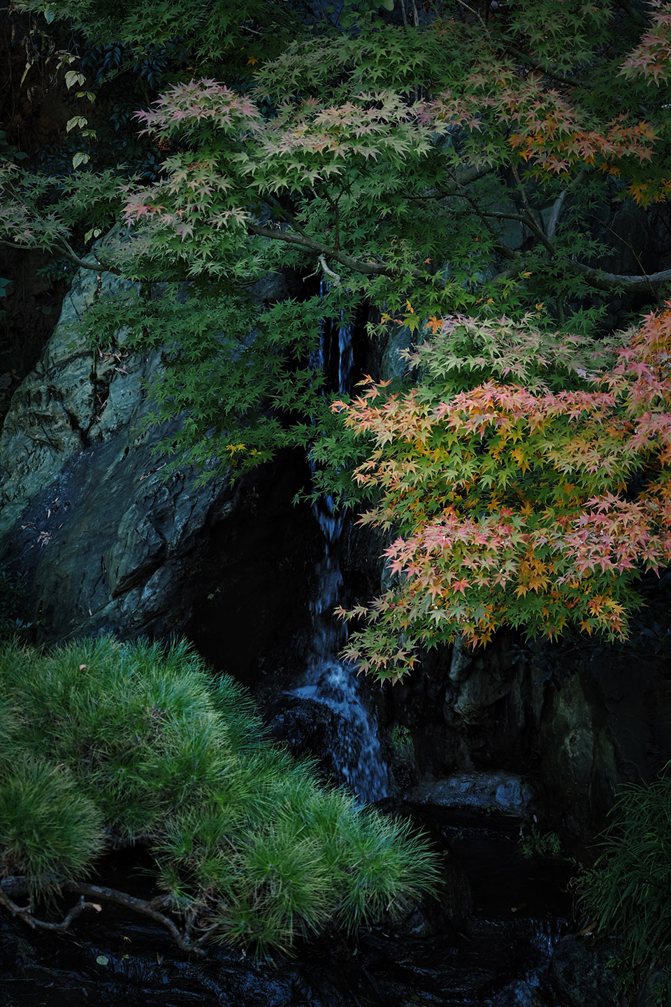 汖墟,杭州丨中国杭州丨山山园林-105