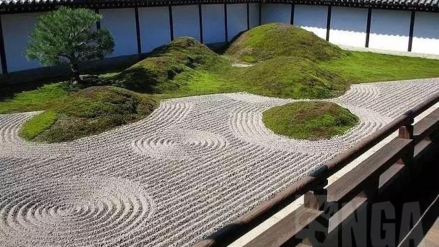 国际大师逻辑解析丨纵横解析大师-47