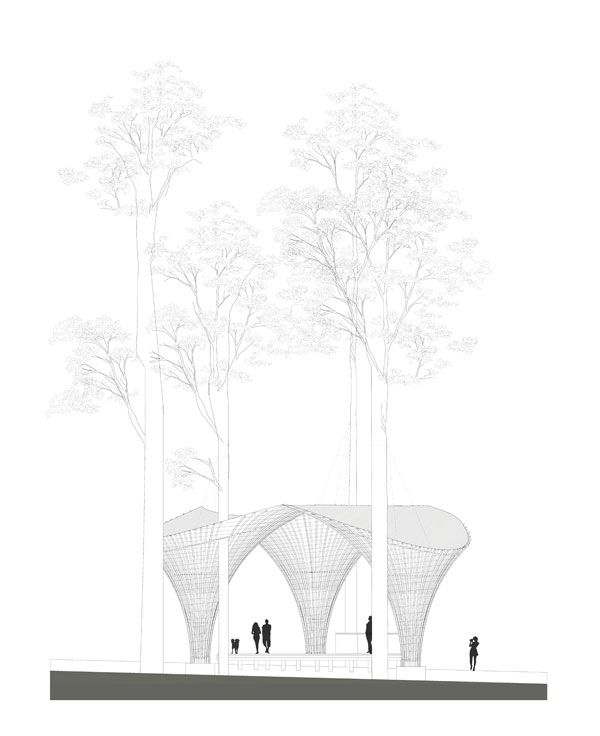 “Free the Bears”竹制新店丨老挝琅勃拉邦丨Atelier COLE-21