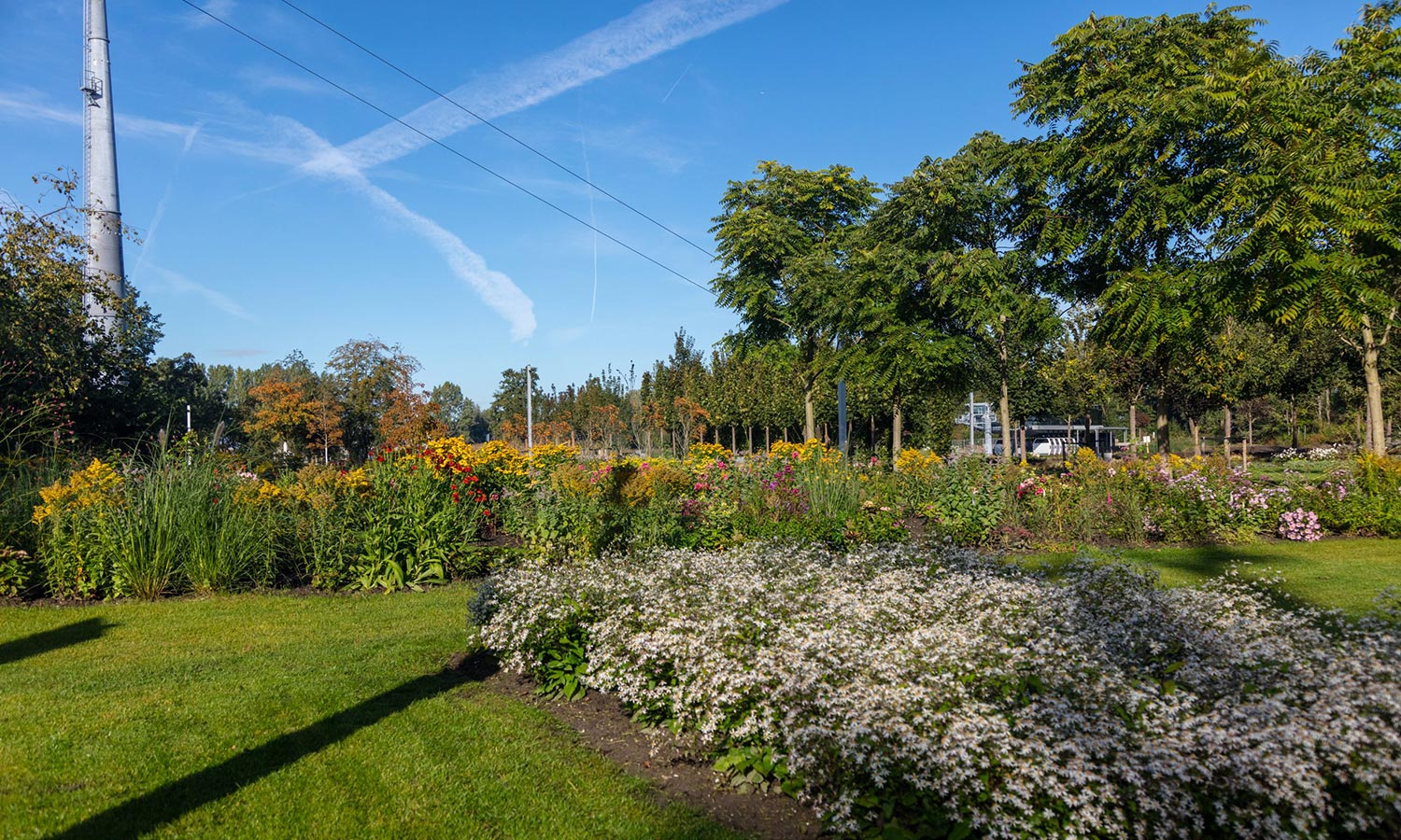 阿尔梅勒弗洛拉迪国际园艺博览会及后续开发项目丨荷兰阿尔梅勒丨MVRDV,ZUS,DP6等-27