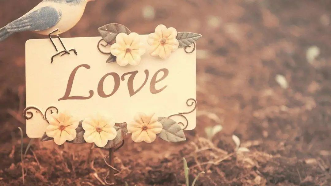 【最新案例】独具质感的轻奢两居，让家精致得恰到好处！-6