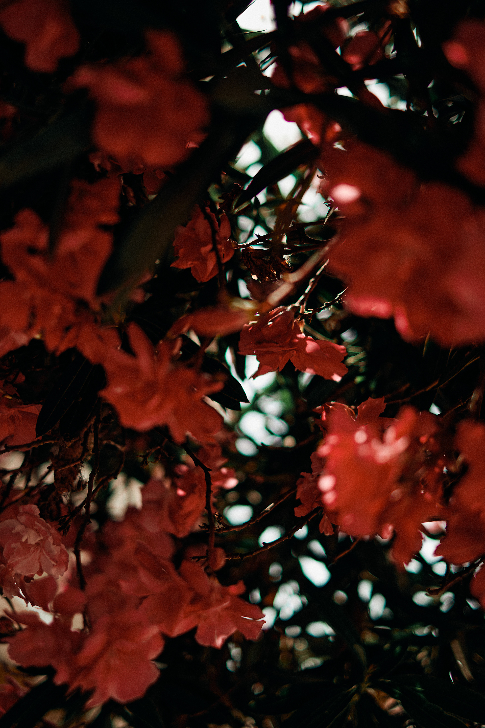 里斯本城市景观摄影丨葡萄牙里斯本-16