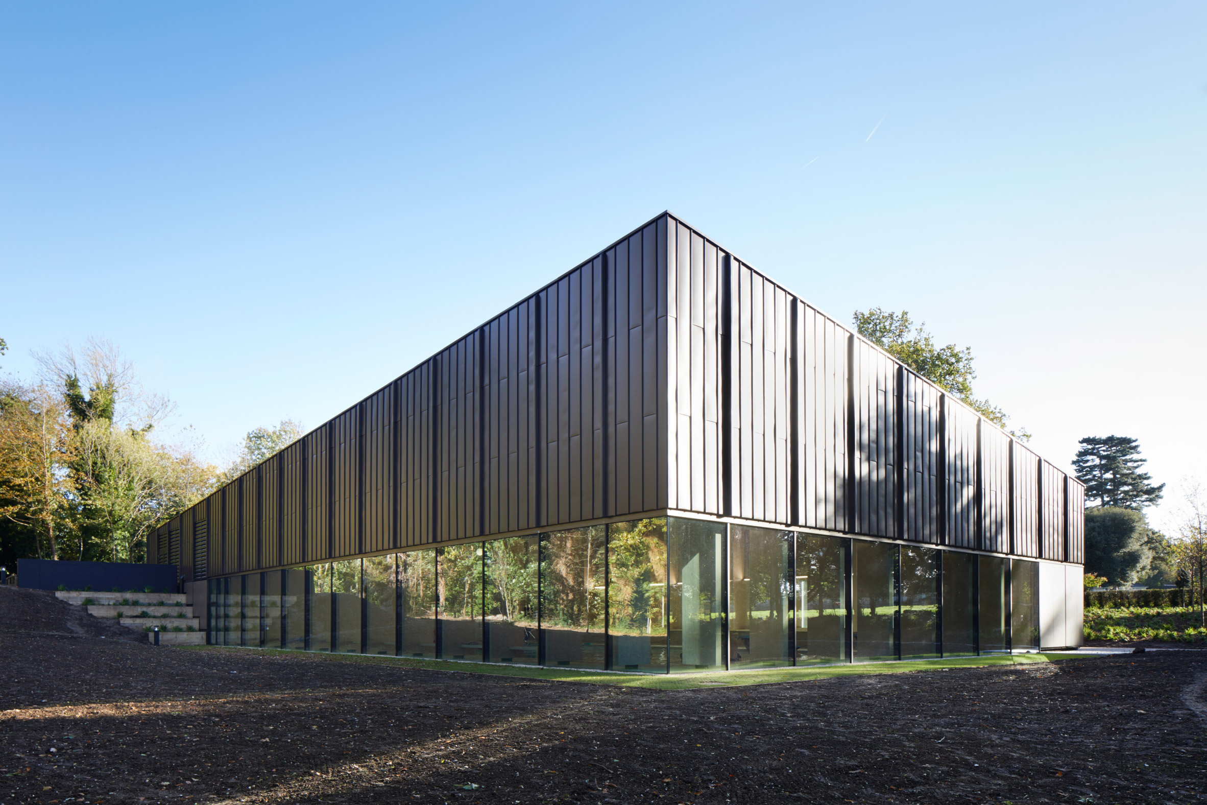 HawkinsBrown uses engineered wood to build school swimming pool-22