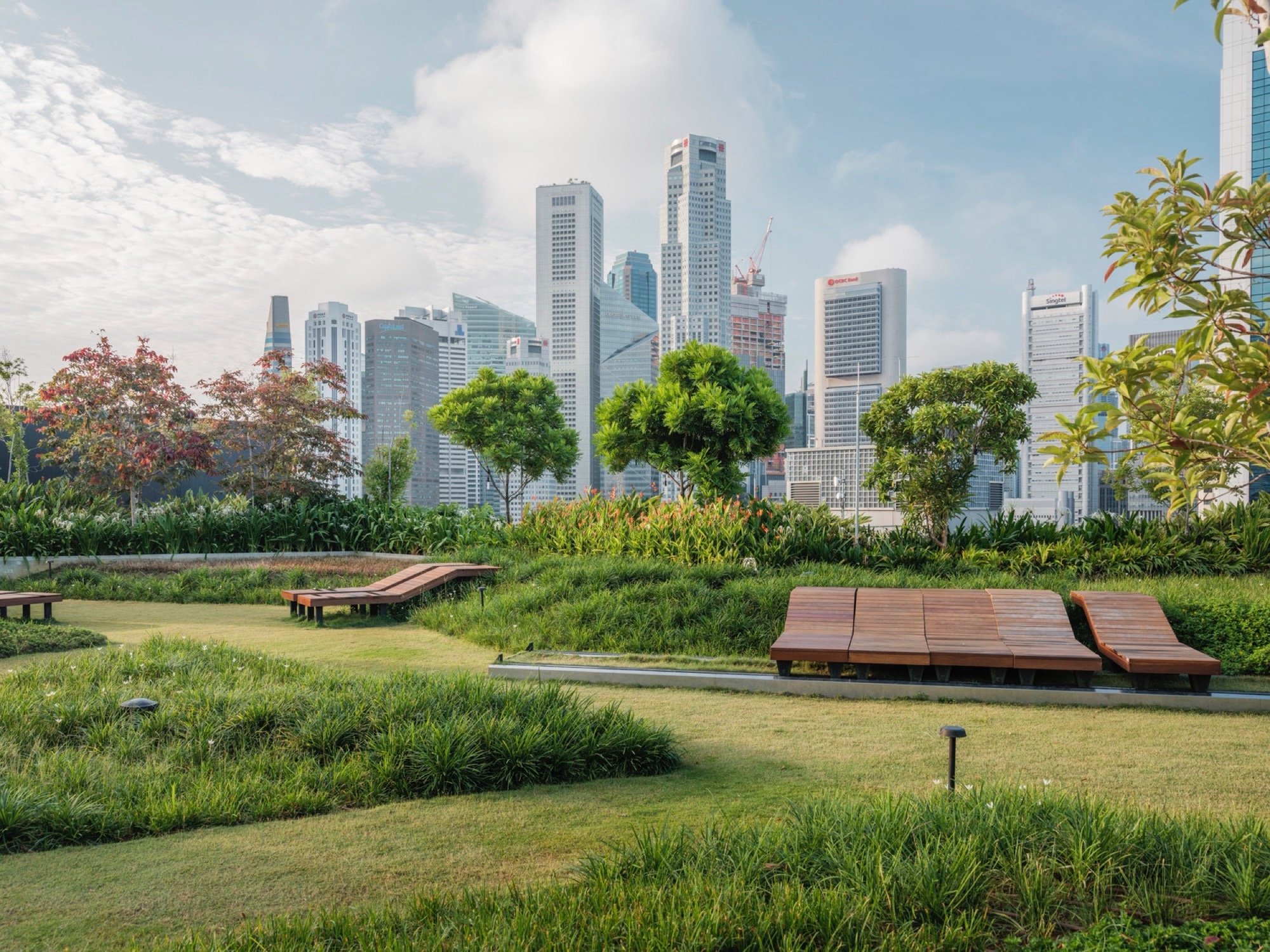 新加坡阜南购物中心周围景观丨grant associates 与 Woods Bagot 合作-7