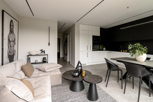 极简主义室内设计丨Dina Cheliadina,Joanna Alminas-12