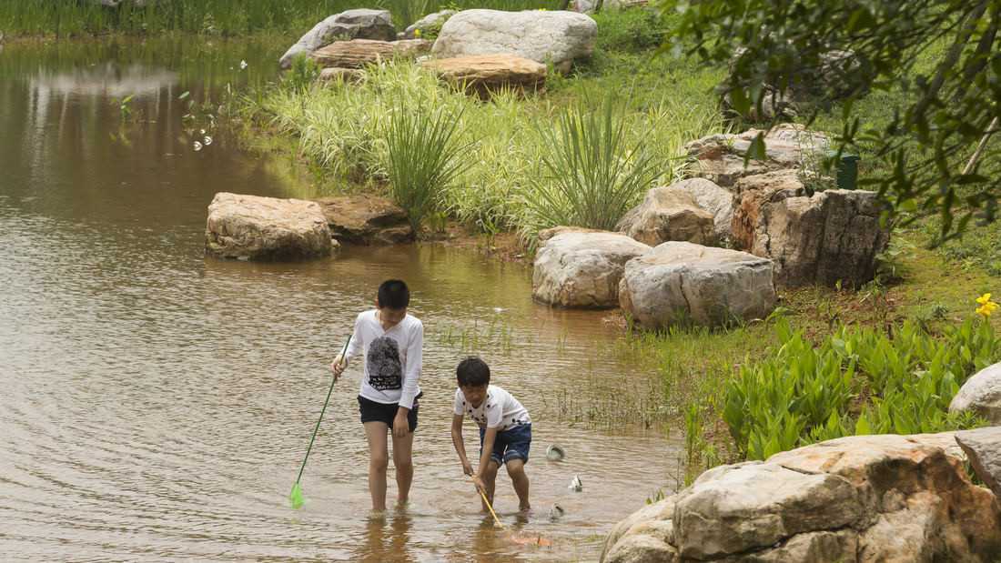 长沙巴溪洲岛湿地生态公园丨中国长沙-17