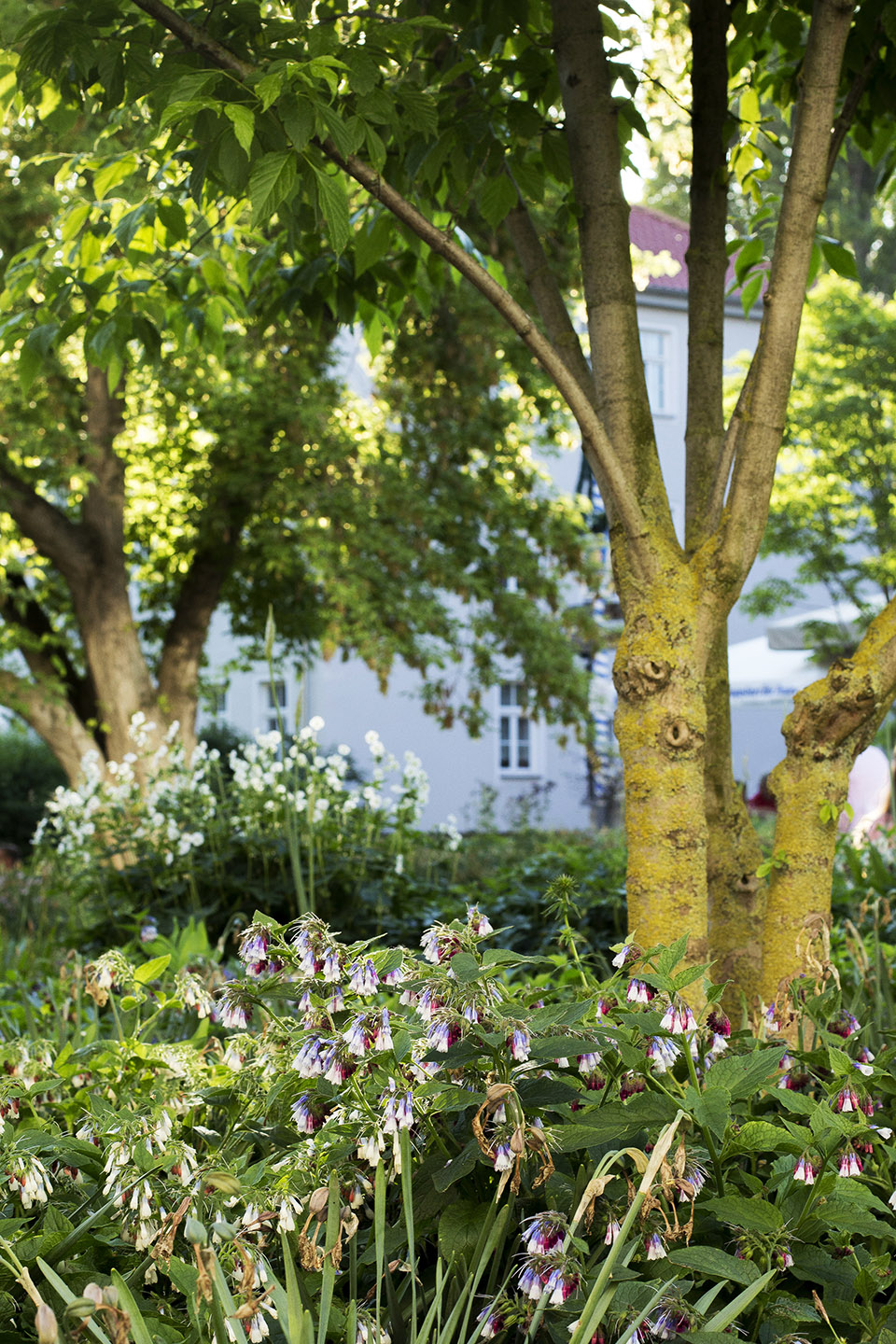 克雷默大桥滨水空间，德国 / 德国雷瓦德景观建筑事务所-37