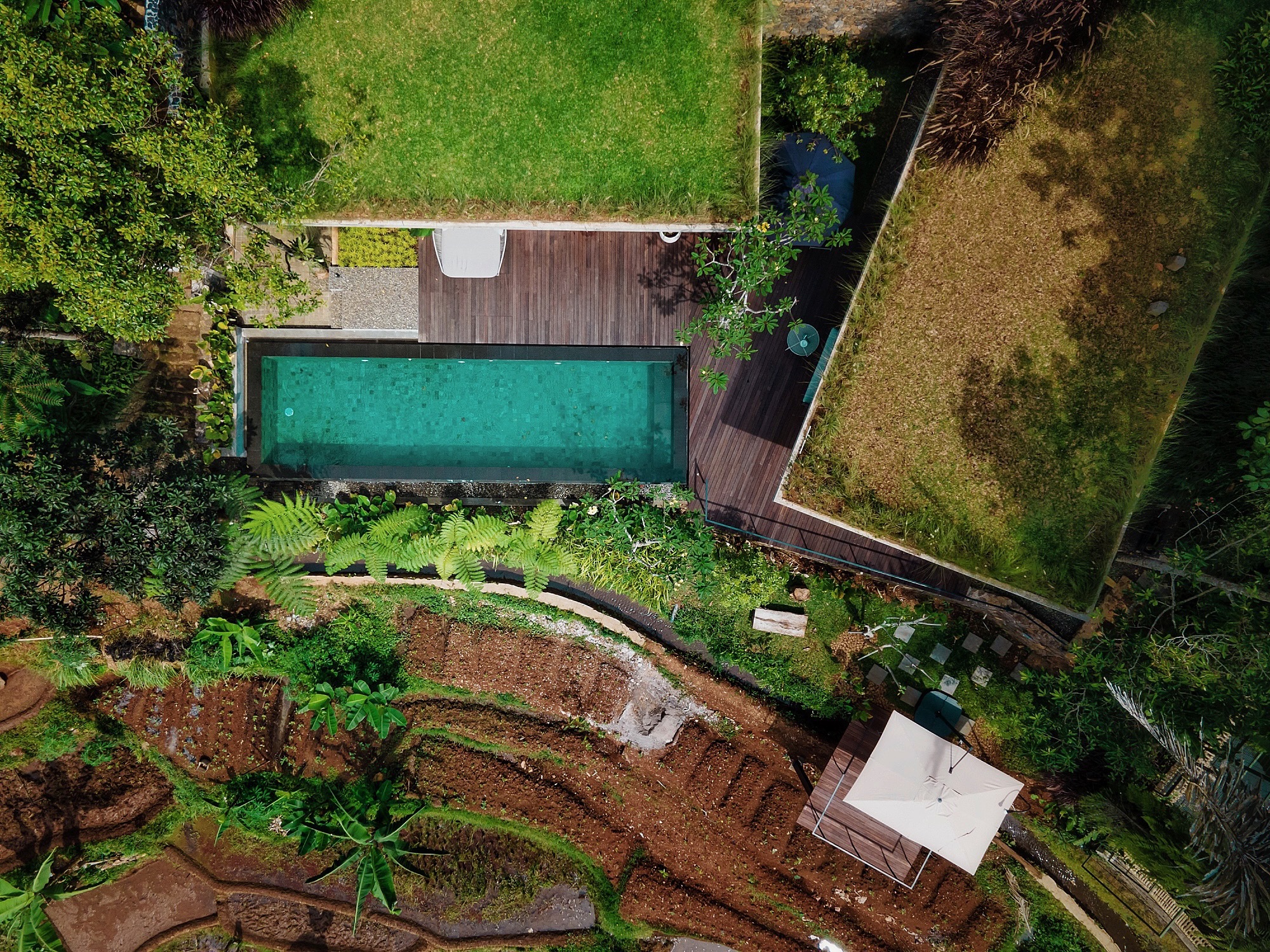 萨瓦萨伊·布尼萨里住宅丨印度丨BASIO-30