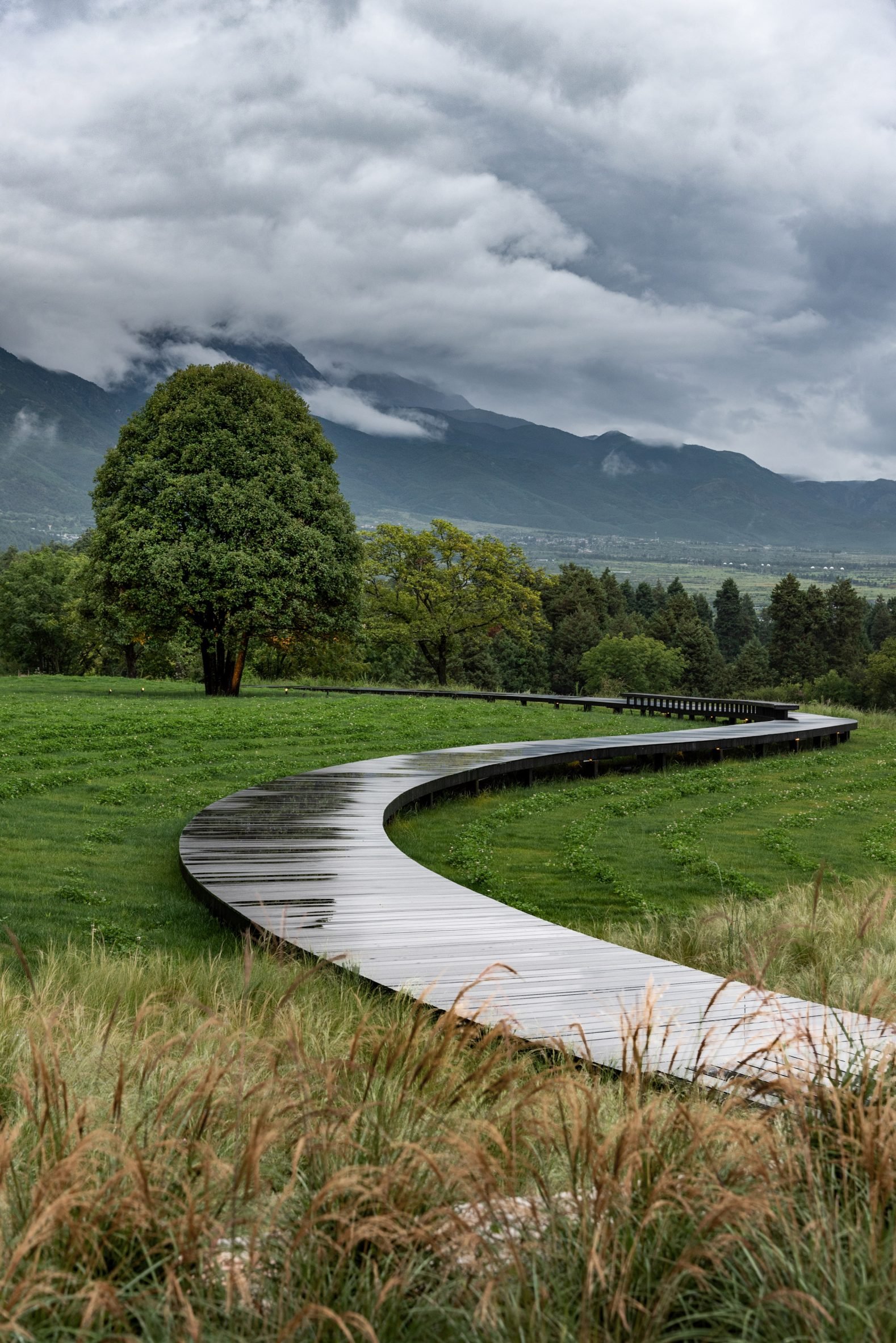 丽江 Hylla Vintage 酒店的 Hylla 高山花园 | 传统与现代的完美融合-22