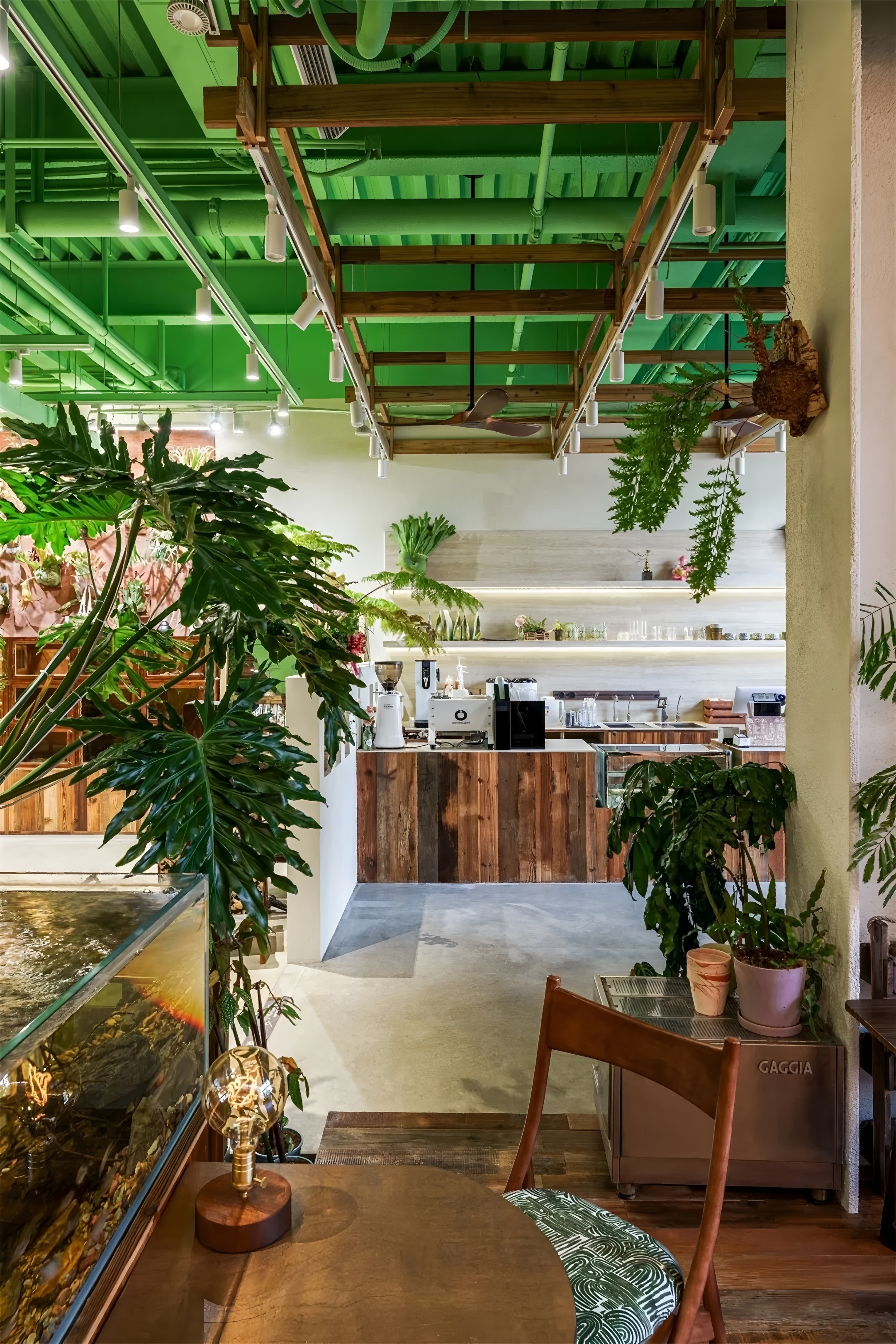 《绿觅 · 尾巴屋》西安宠物店丨中国西安丨陕西梁辰造物建筑设计-15