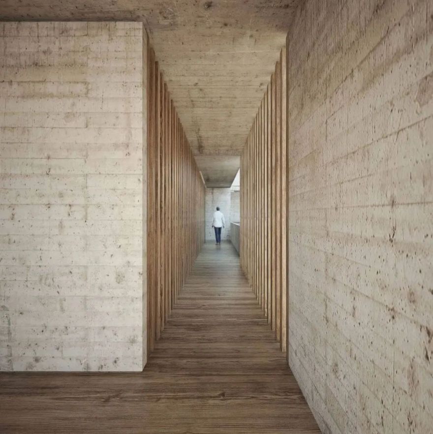 特霍科特之家丨墨西哥丨Gonzalez Muchow Arquitectos-102