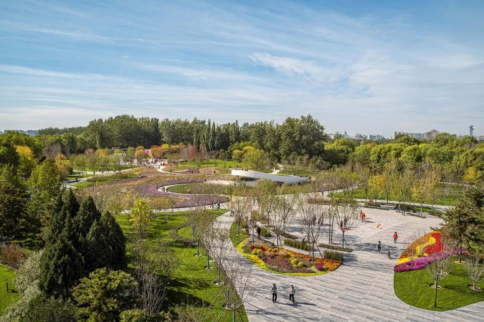 埊木设计｜花漾之境：北小河公园樱花谷环境改造提升设计-12