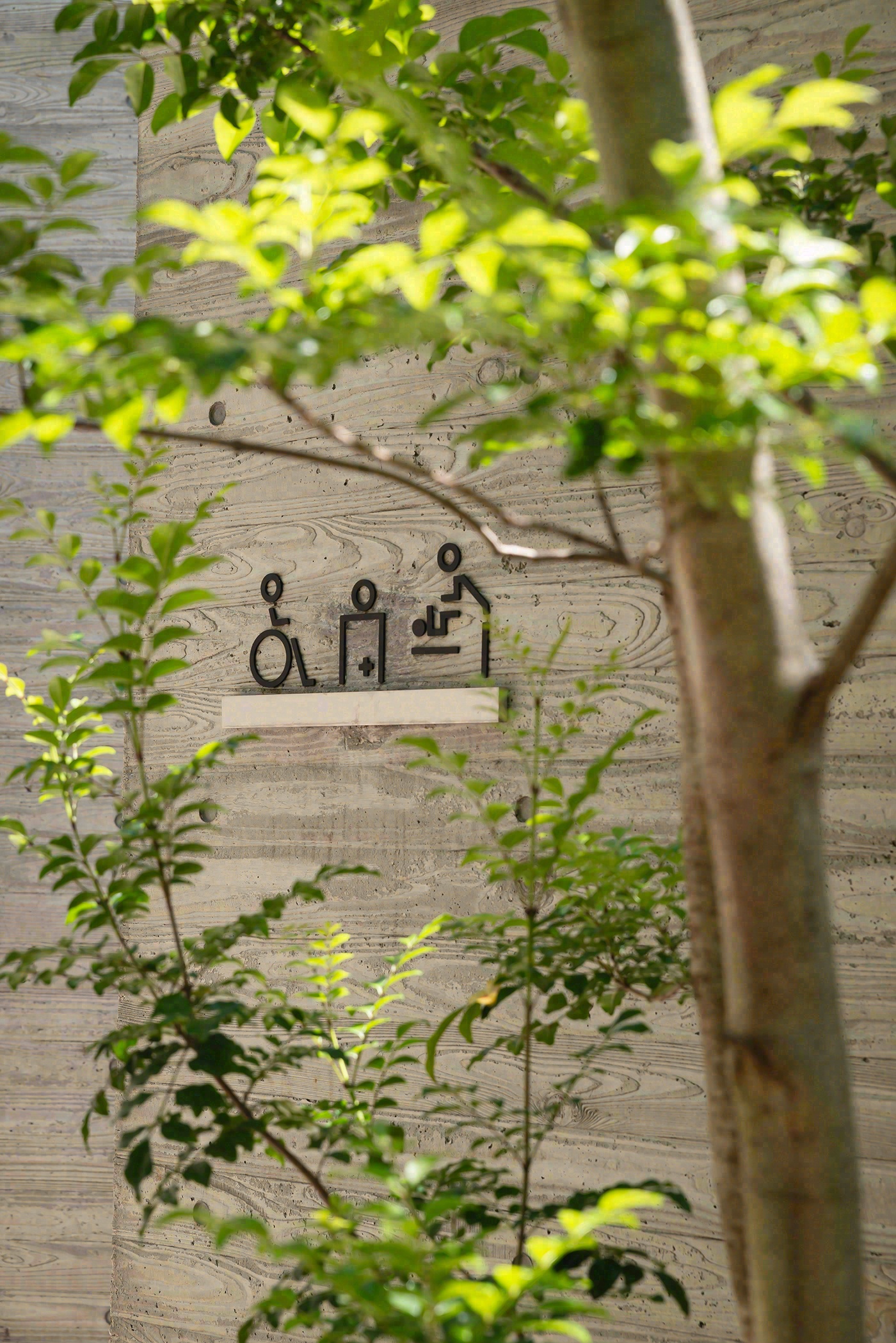 盛情款待：东京厕所项目丨日本东京丨多位设计师-48