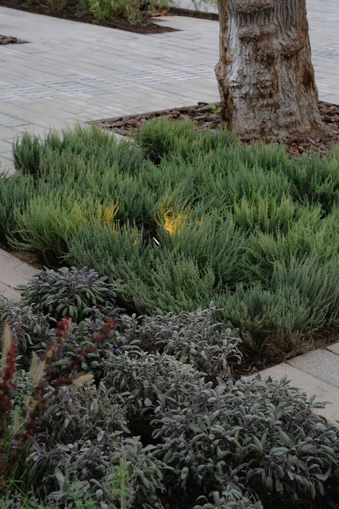 塔什干共和国儿童图书馆重建设计项目丨乌兹别克斯坦塔什干丨ludi_architects工作室-41