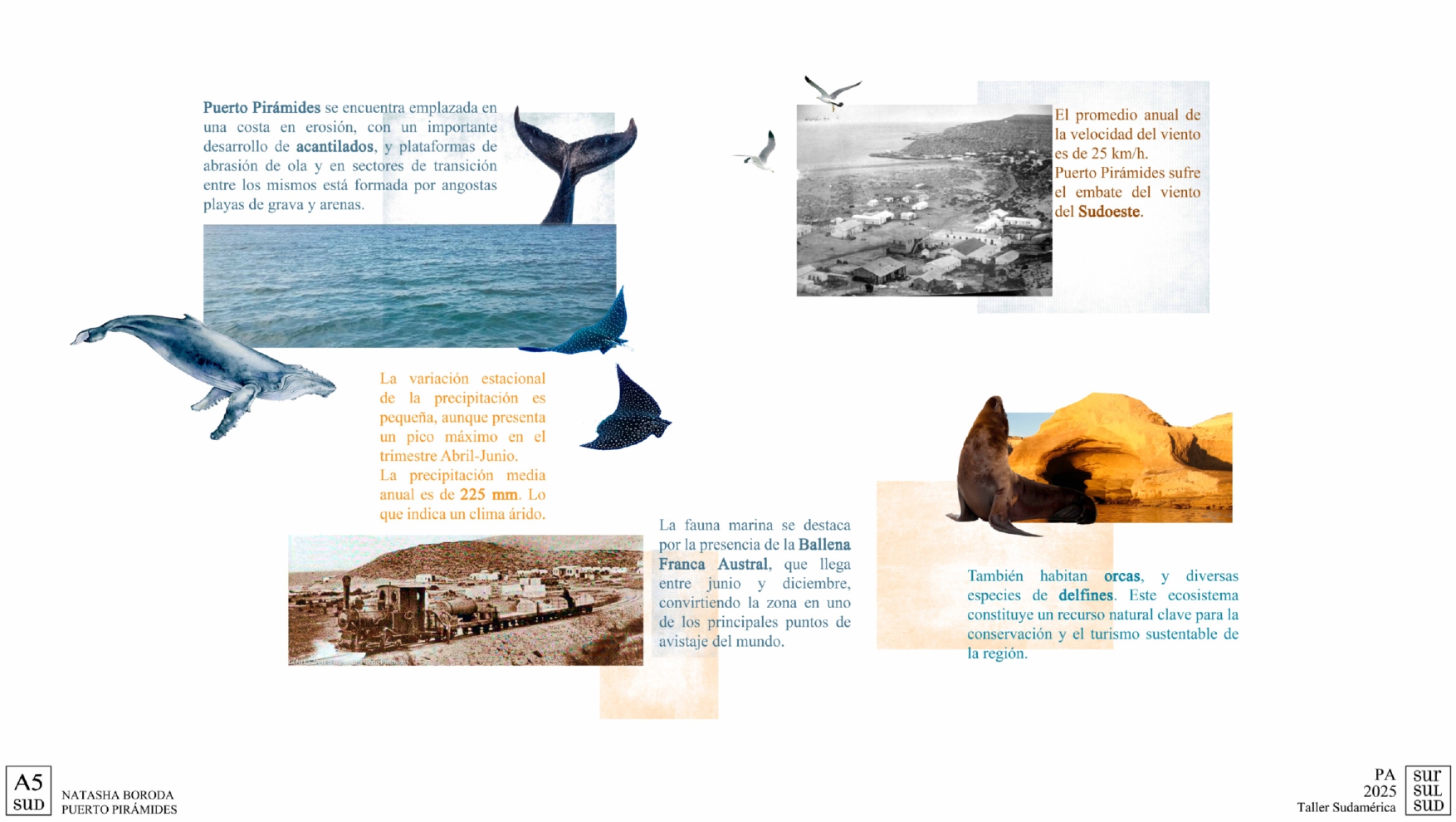 Puerto Pirámide | Centro de Investigacion-3