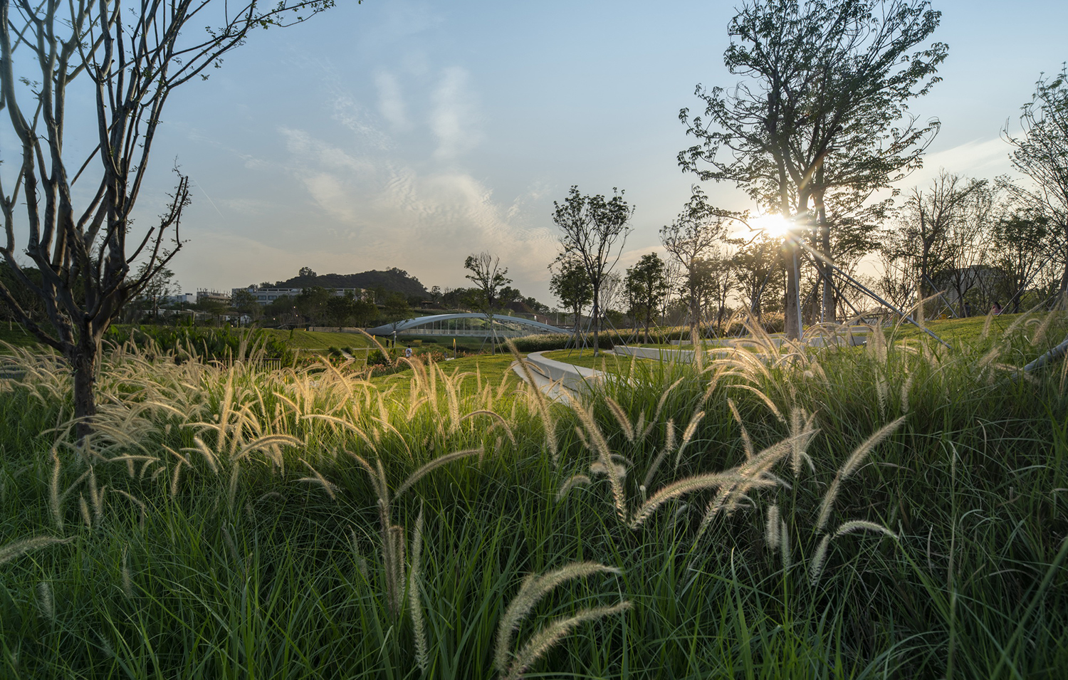 中山大学附属第七医院周边景观焕新项目丨中国深圳丨L&A Design（含多团队）-34