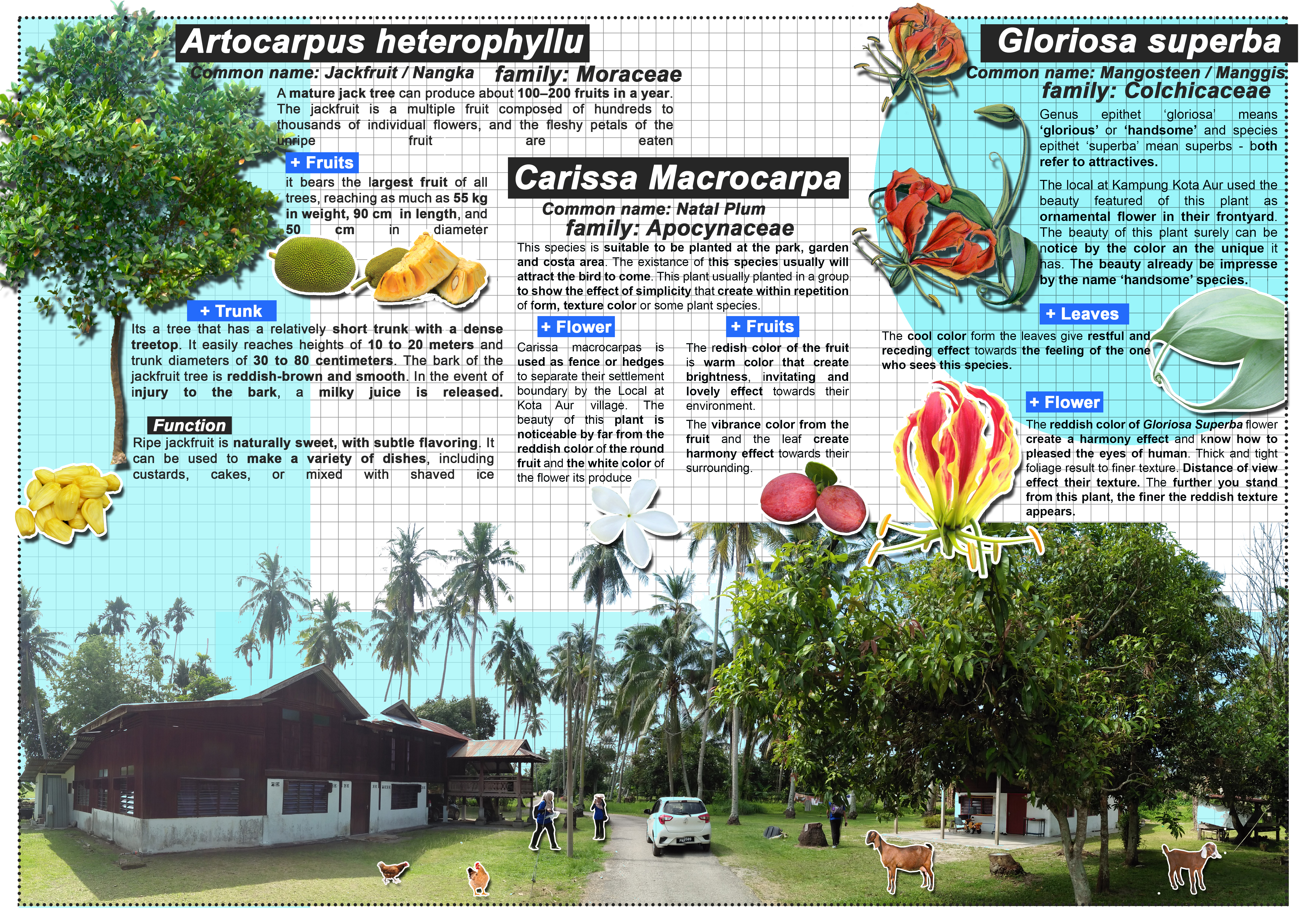 The Authentic Planting_231219 | Planting Design-6