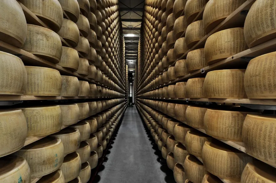 仓库 GEMA丨意大利博洛尼亚丨Studio tecnico Mattioli-8