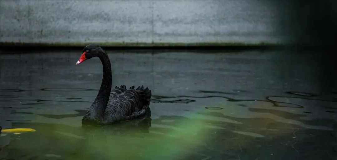 归心·乡愁 · 东坡记忆中的宜兴早春丨誰最中國-13