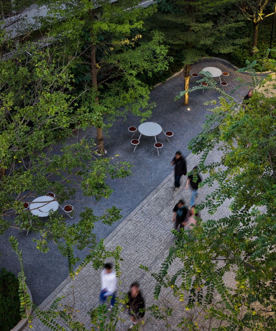 广州南方学院番禺附属中学景观改造丨中国广州丨BAM百安木-11