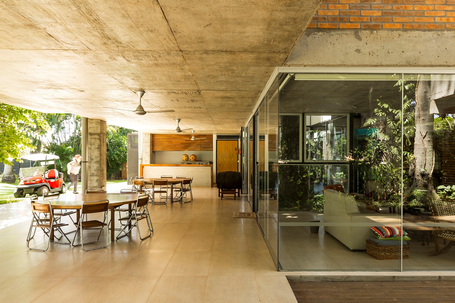 房子之间的树-7