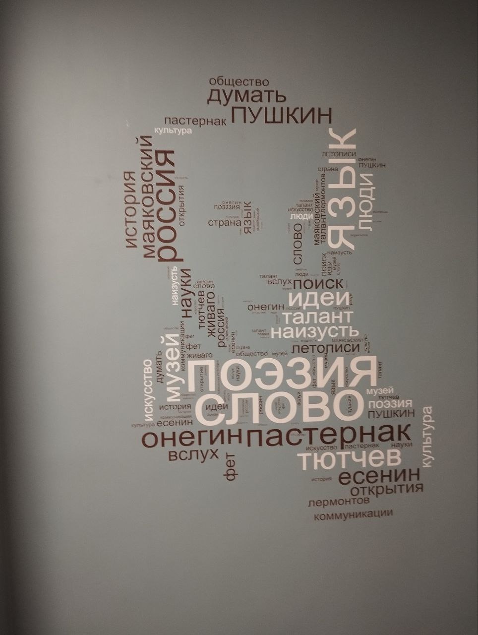 Школа лицей Кижинга-14