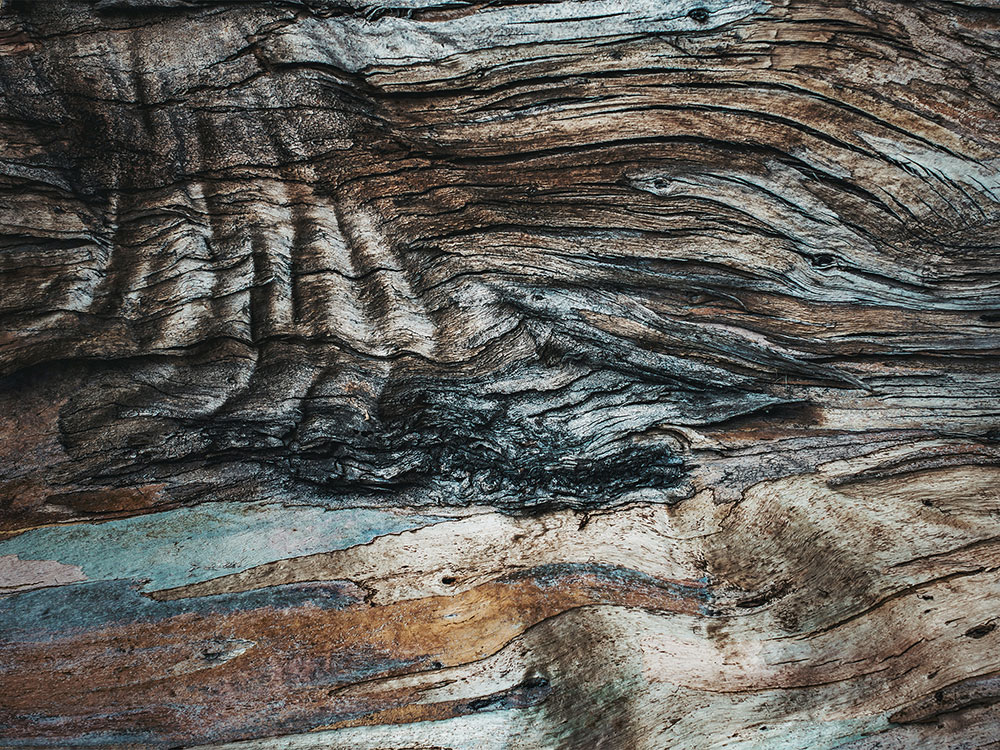 Sherwin·Williams 推出自然灵感的 Terra 系列-11