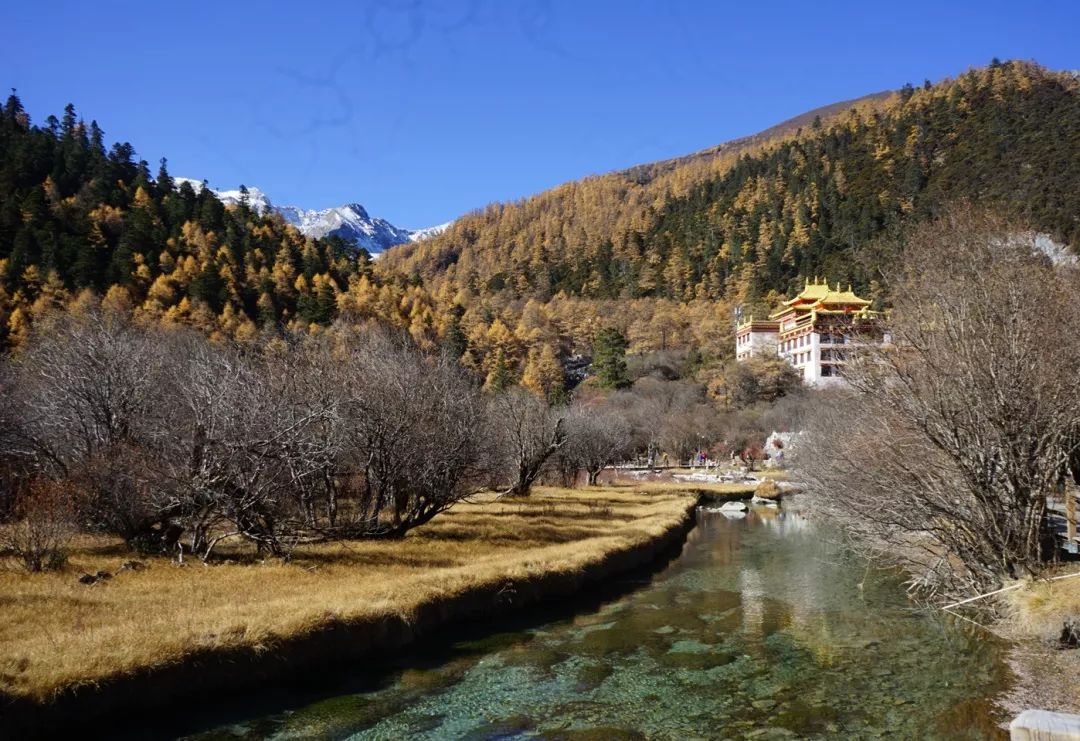 秋色斑斓 | 彩叶树种的园林设计之美-78