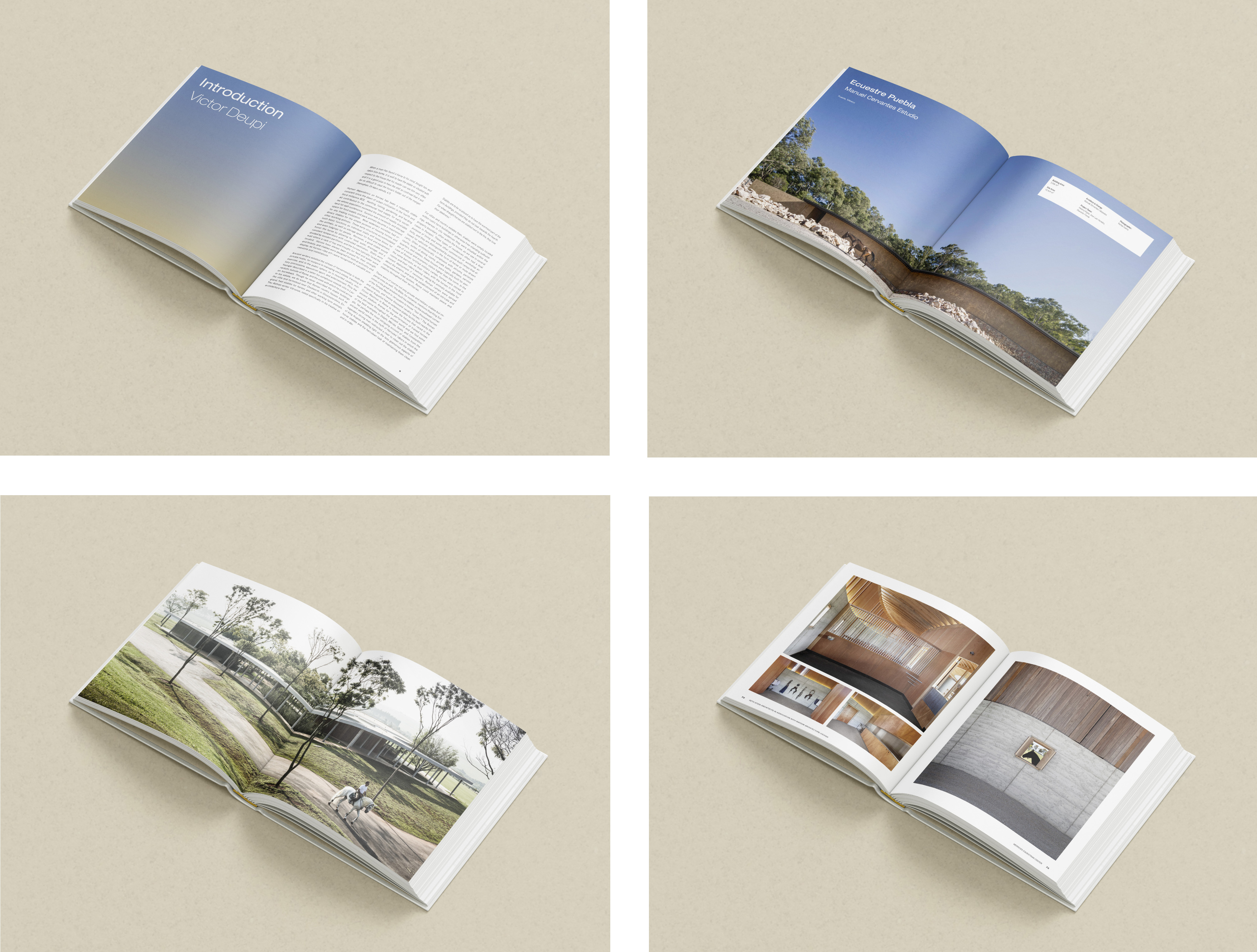 马厩·里佐利编辑设计丨Rizzoli International Publishing-11