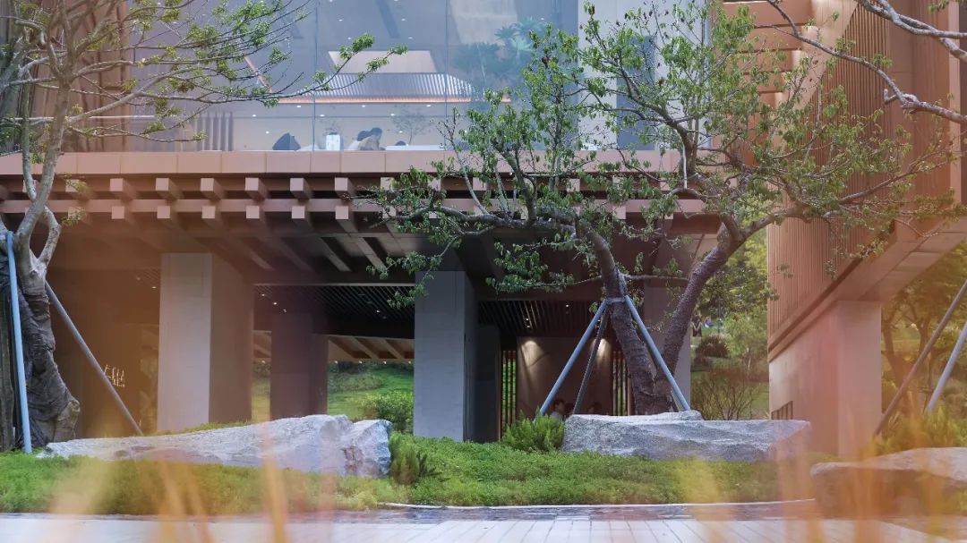   道远设计丨厦门万科·璞悦山  景观设计 丨中国厦门-55