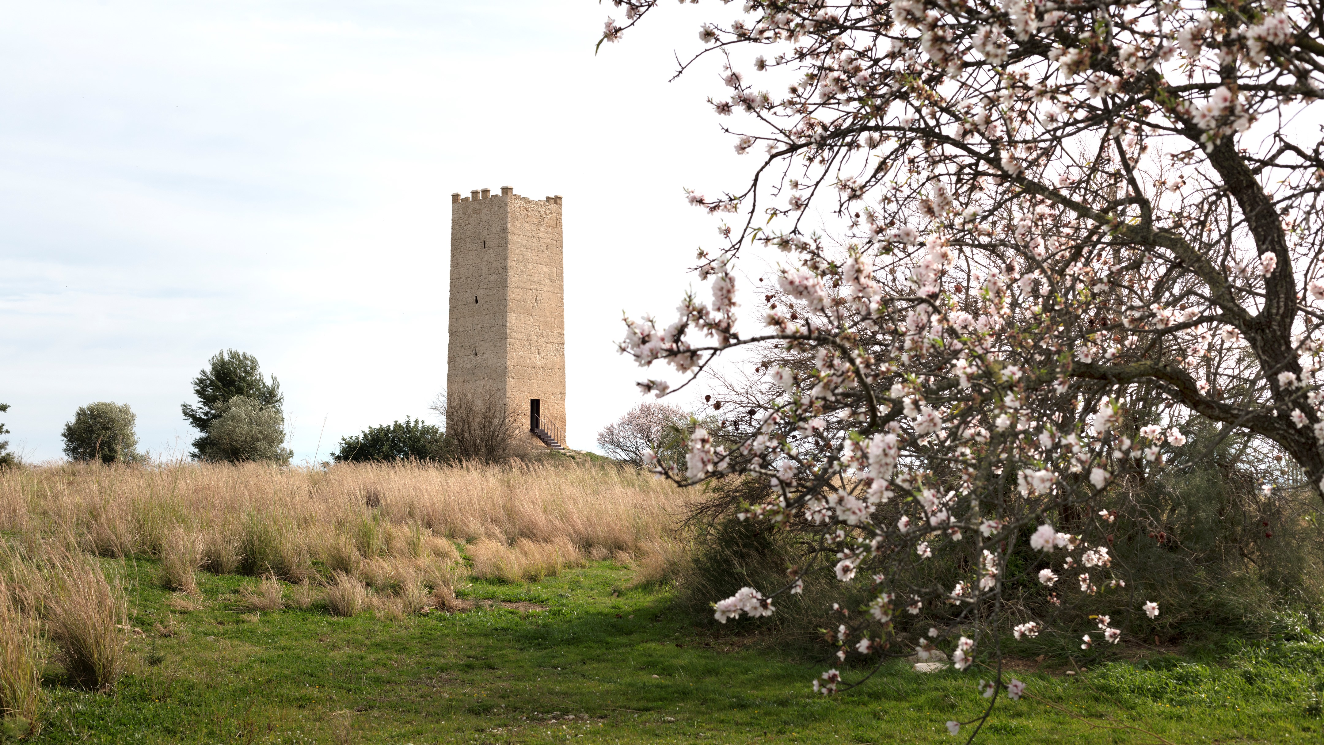 西班牙埃斯皮奥卡塔楼建筑改造-28