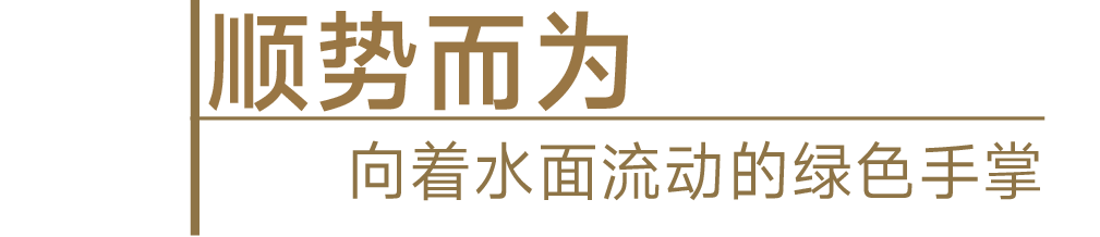 风语筑｜东坡乐事凤谷驿：五指作棚，在山水间顺势而为-34