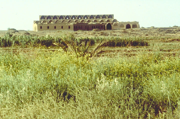 New Baris沙漠建筑项目丨埃及丨Hassan Fathy-62