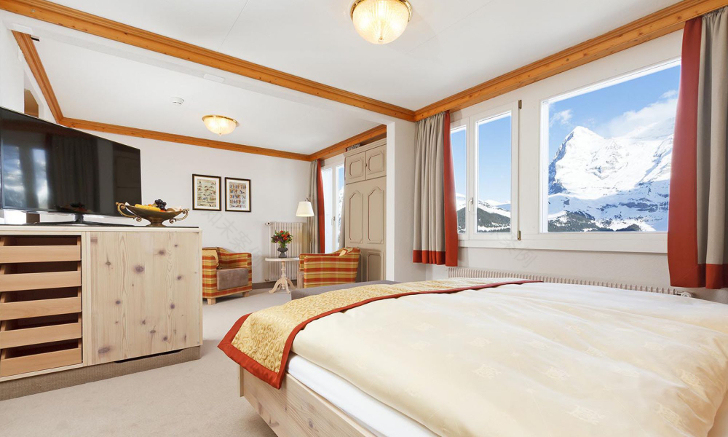 阿尔卑斯山脉的百年历史酒店-5