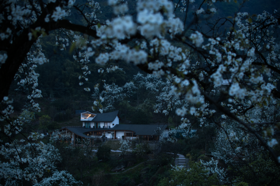 不在山林 · 泸州梨花村丨中国泸州丨小隐建筑事务所-5
