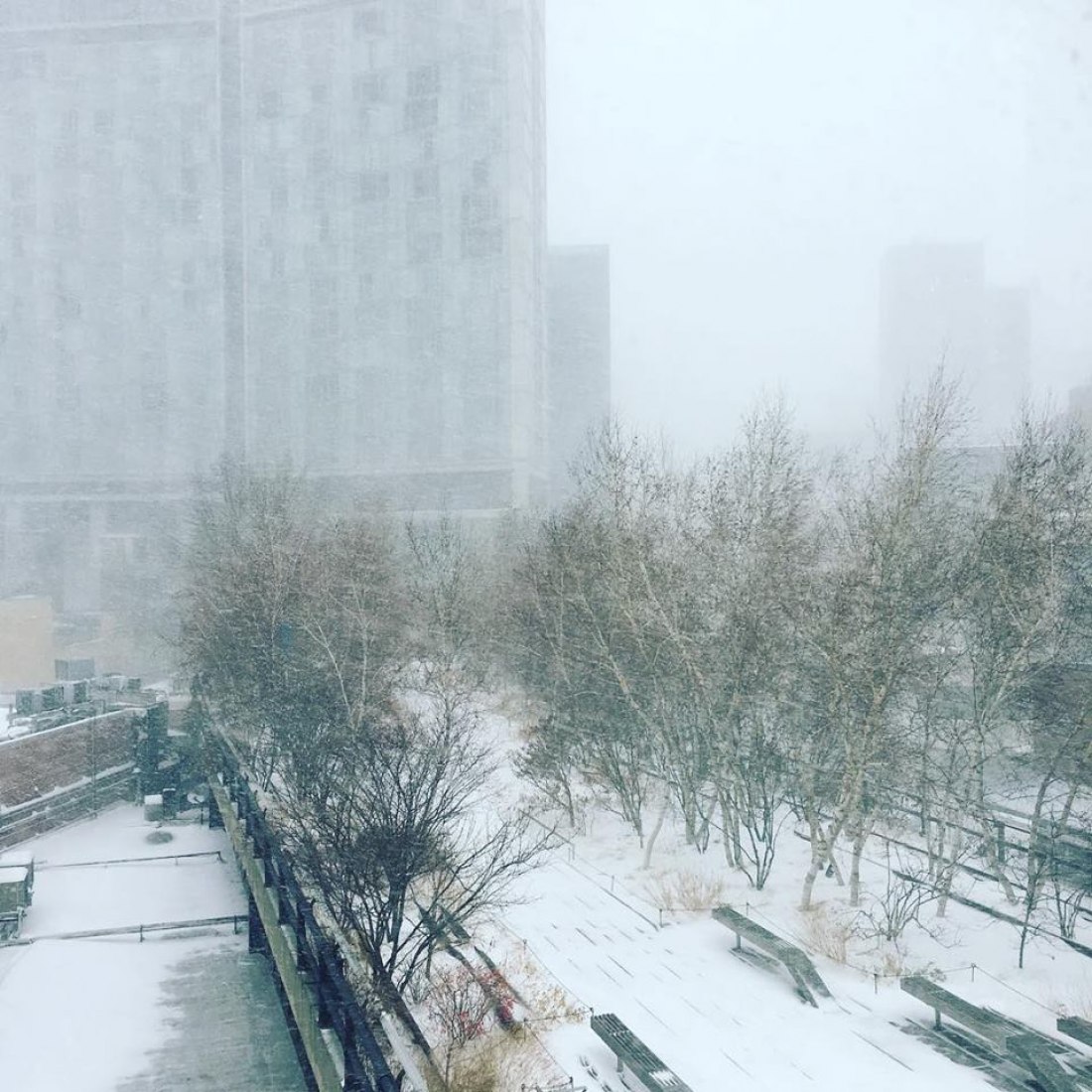 纽约高线公园（The High Line）丨美国曼哈顿-28