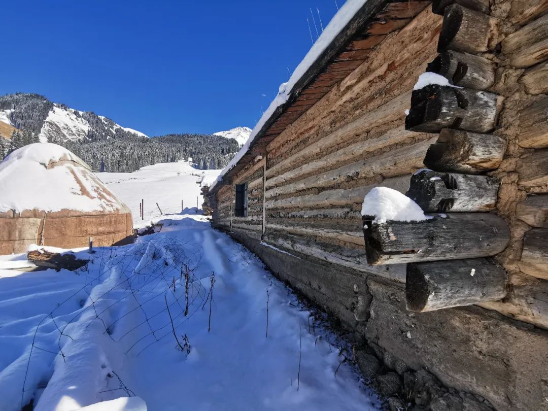 博仁设计 | 新疆民宿 融于自然的野奢木屋-36