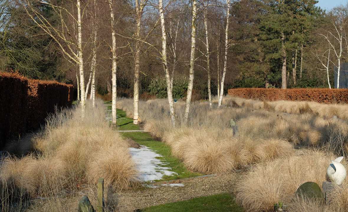 URN GARDEN 墓地景观丨荷兰阿姆斯特丹丨karres+brands-22