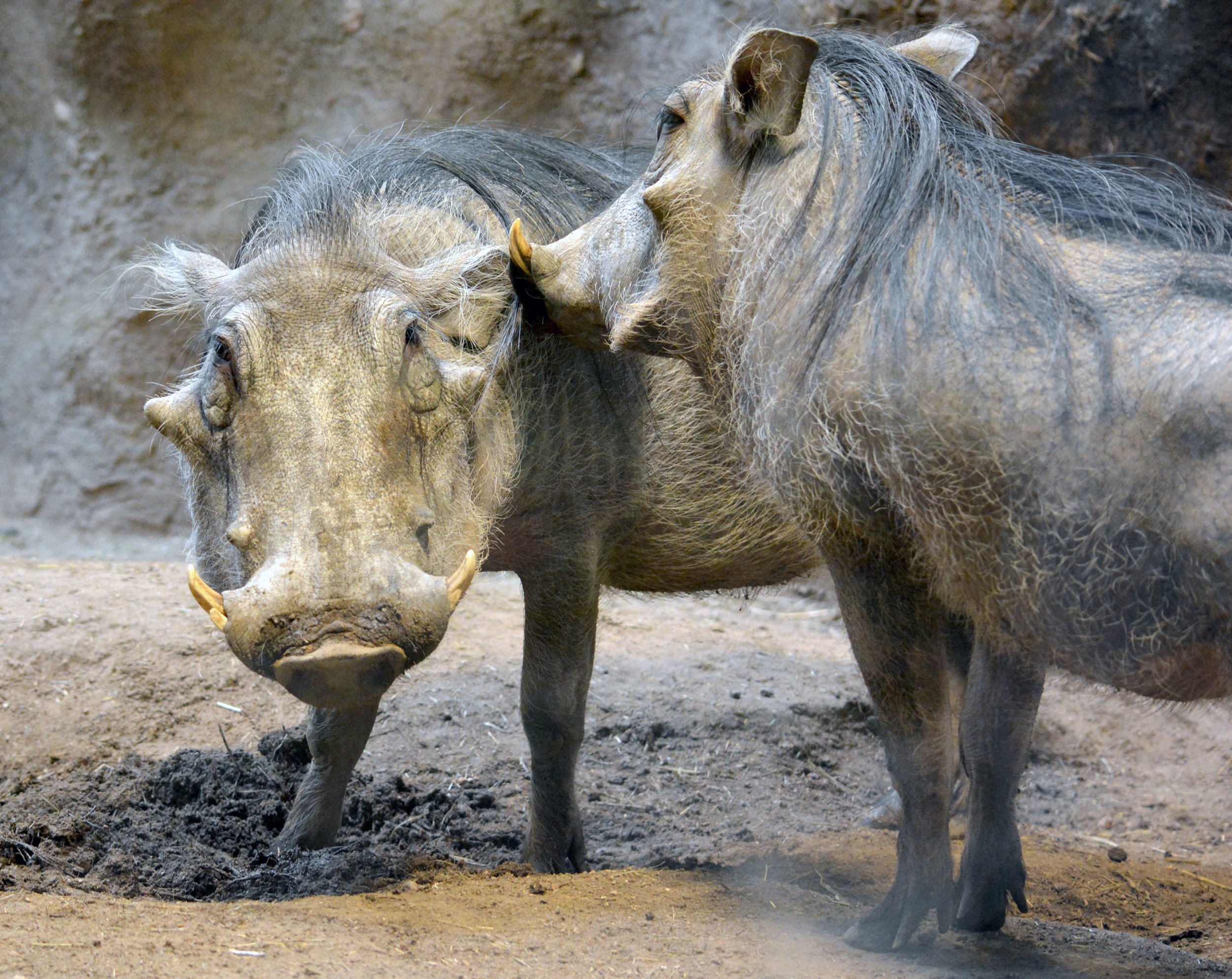 水际之地：非洲丨美国科罗拉多斯普林斯丨SH|R Studios-27