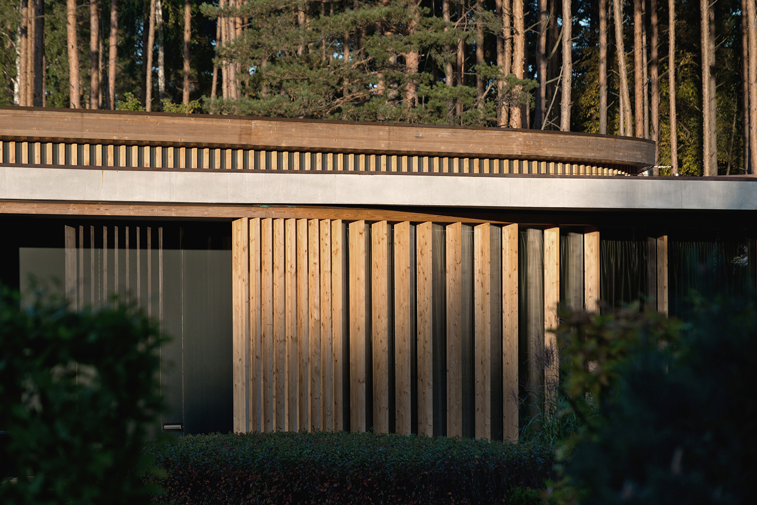 立陶宛 G 别墅 | 公园中的自然栖息地-23