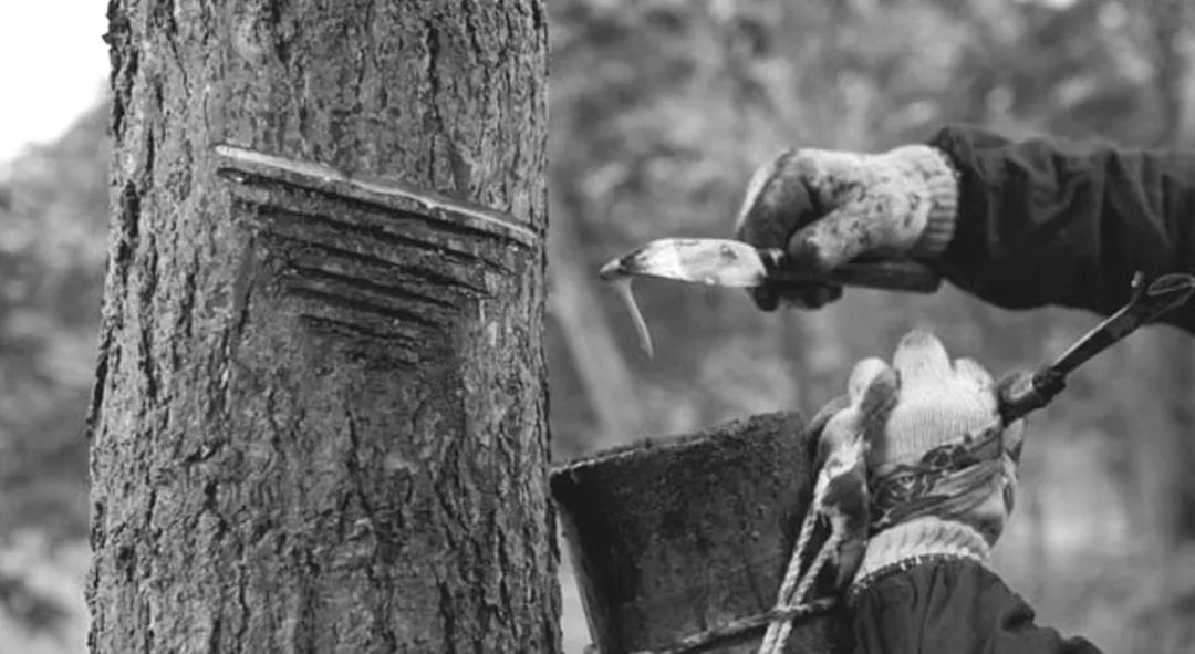 《对白》中的现代漆艺传播与传统工艺复兴-15