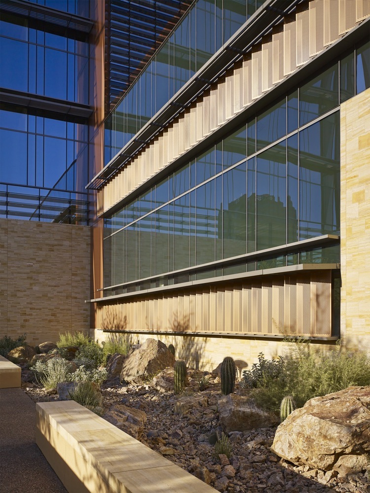 亚利桑那大学癌症中心-40